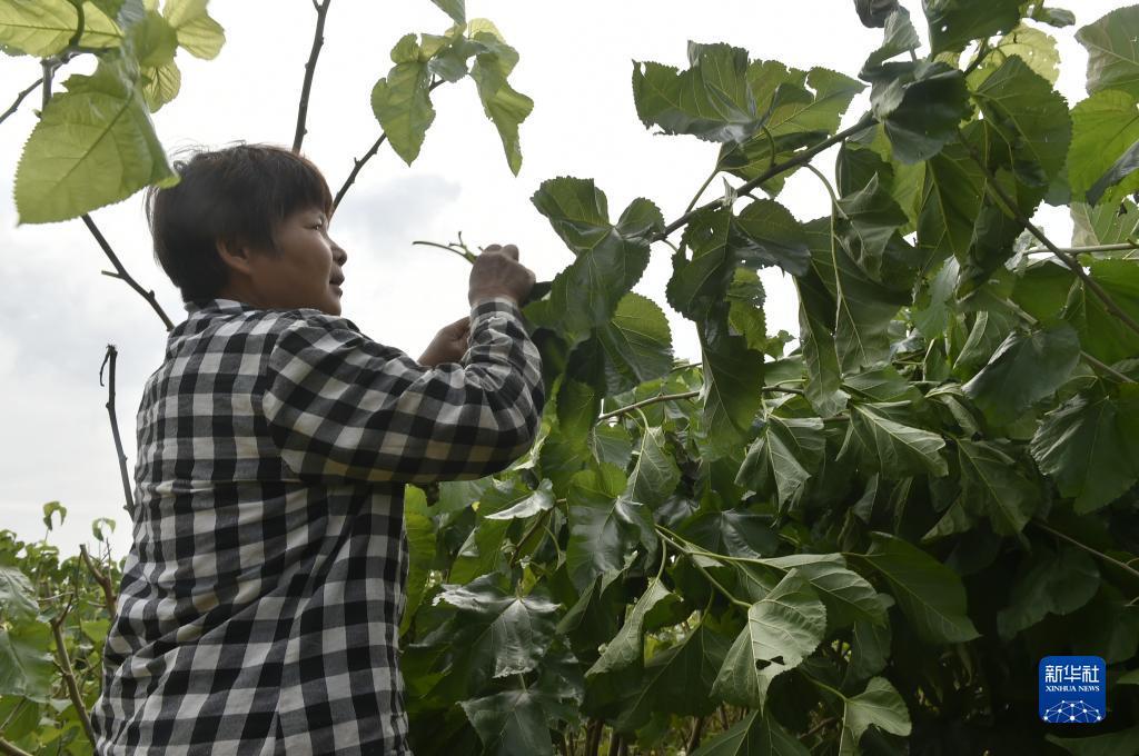 奔驰宝马游戏电脑版